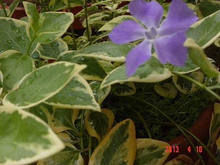 DSC01023.JPG