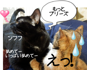 P6210026_1.png