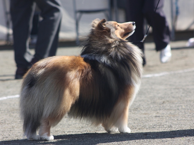 IMG_1031 - コピー.JPG