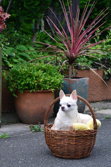 DSC_0033.JPG