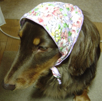 060810b.jpg