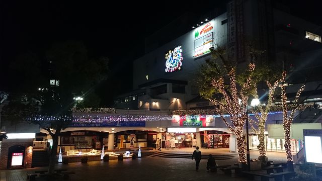 2015-11-24 18.26.23.jpg