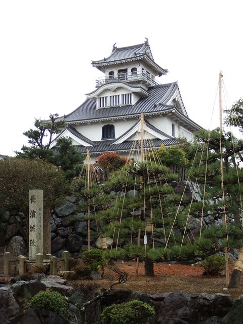 DSCF4218.JPG