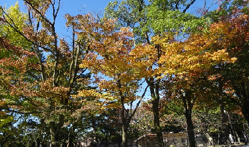 DSC02767.JPG