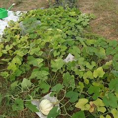 DCIM04641.JPG