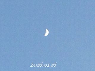IMG_2915.JPG