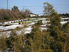 DSCN1425畑の雪.JPG