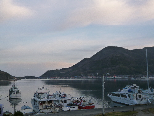 P1140732(1).JPG
