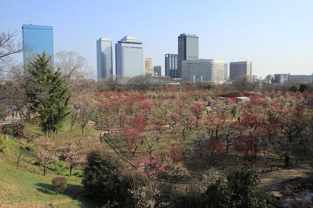 大阪城公園_5-3.jpg
