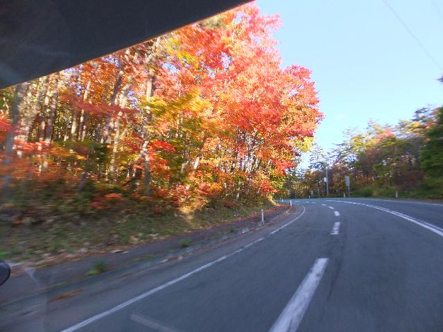 DSCF2538.jpg