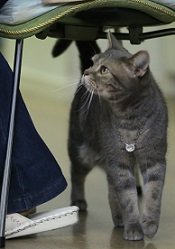 5DA_4323-10.jpg