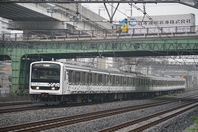 EF64 37牽引 旧客. 快速SL只見線 新緑号運転用 送り込み回送5