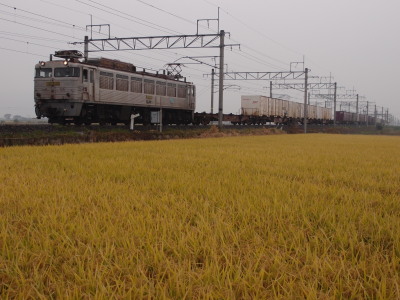 XZ-1PA270024_42.jpg