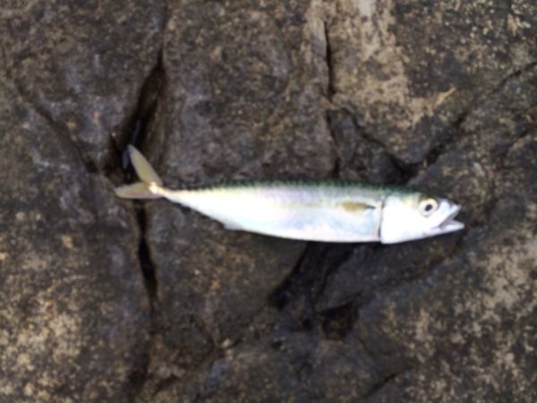 rblog-20140726155849-02.jpg