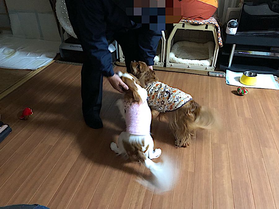 rblog-20181114224306-04.jpg