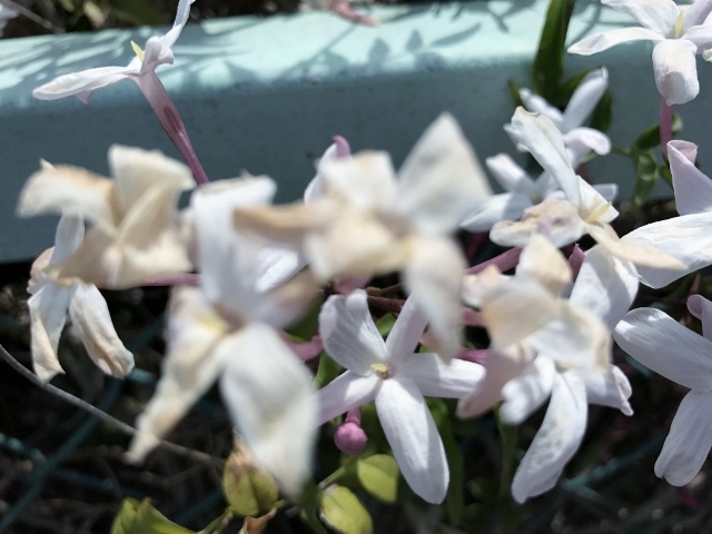 2017-05-07 001 (640x480).jpg