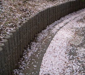 DSCN3835.JPG