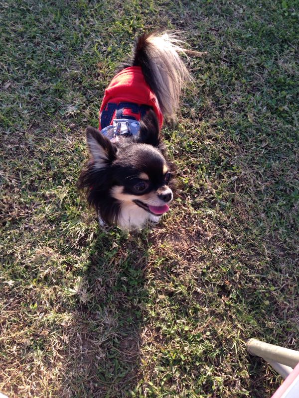 rblog-20141019191628-01.jpg