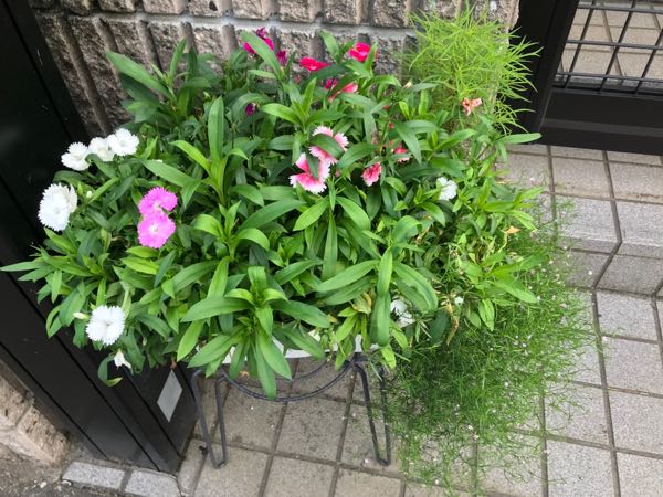 rblog-20180624181756-07.jpg