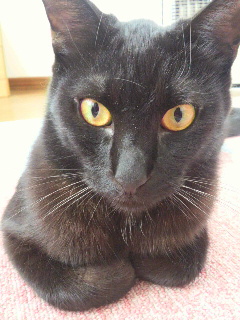 2013010209450002.jpg
