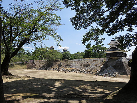IMG_4817.jpg