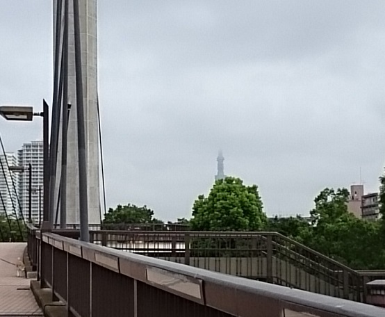 スカイツリーの天辺は雲の中