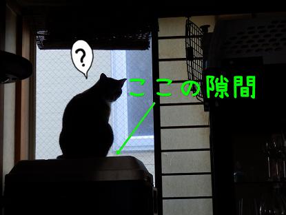 隙間.JPG