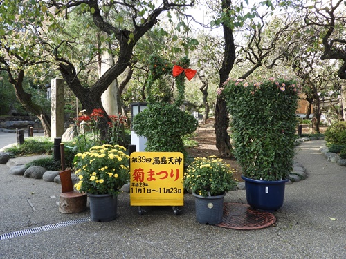 湯島天神菊まつり