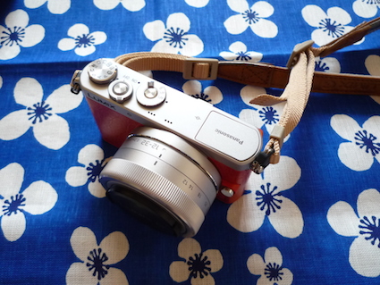 2014.09.21LUMIXの一眼レフ9.jpg