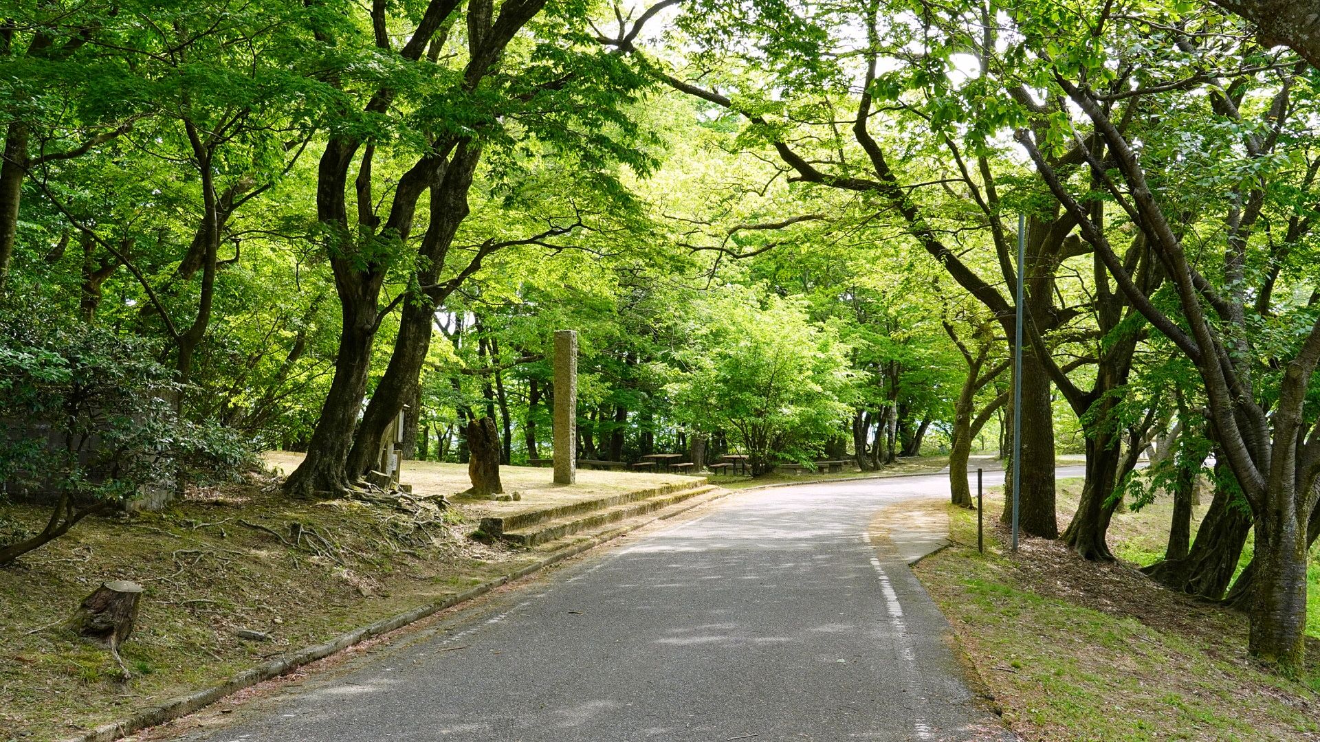 峠 倶利 伽羅