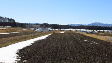 田んぼ130312