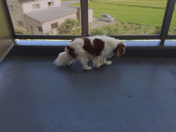 rblog-20160805121841-02.jpg