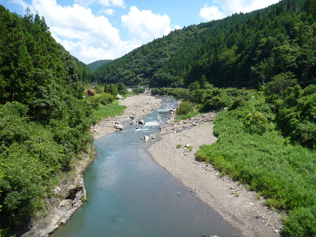 resize2616.jpg