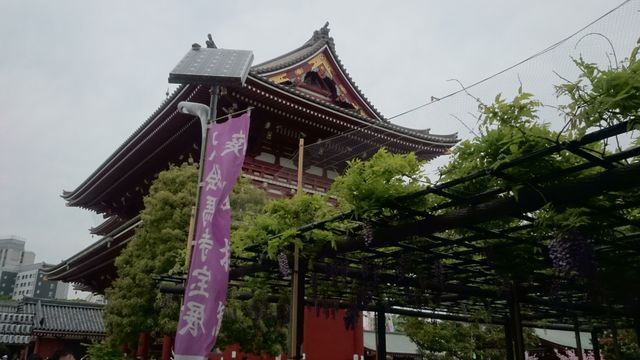 2015-04-29 12.07.43.jpg