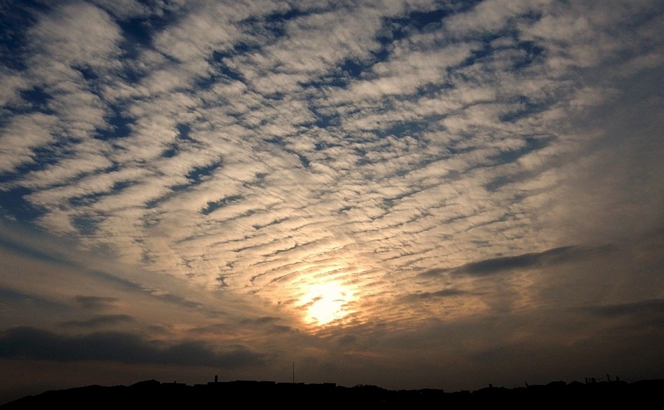 夕暮れ1.JPG