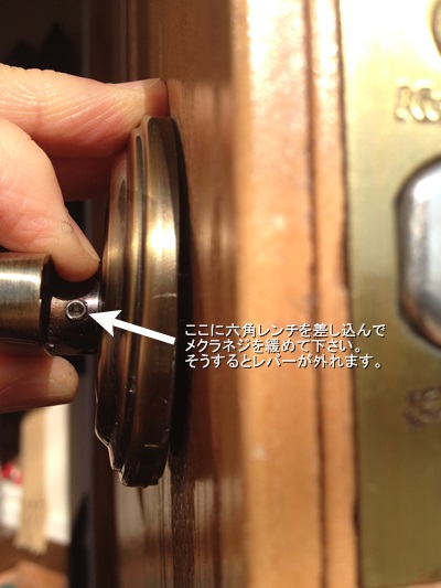 内蔵されたメクラネジ