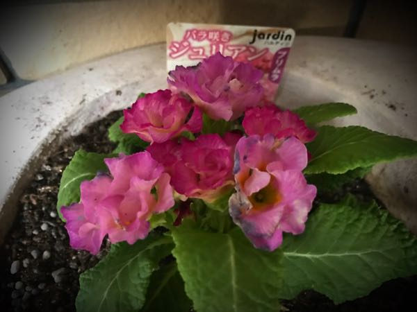 rblog-20161226171800-09.jpg