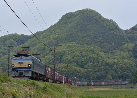 EF66-52 2014.04.22 1053レ.jpg