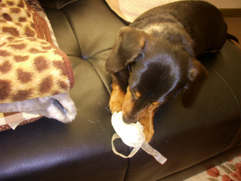 ９回クリスマス