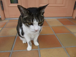 IMG_1827ss.jpg