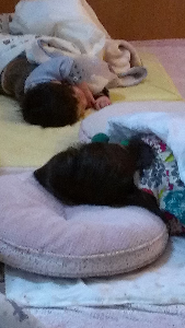 rblog-20130411154906-02.png