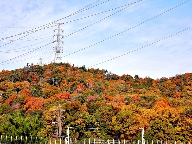 洞川林道4.JPG