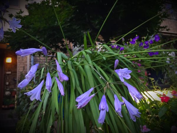 rblog-20160710211216-05.jpg