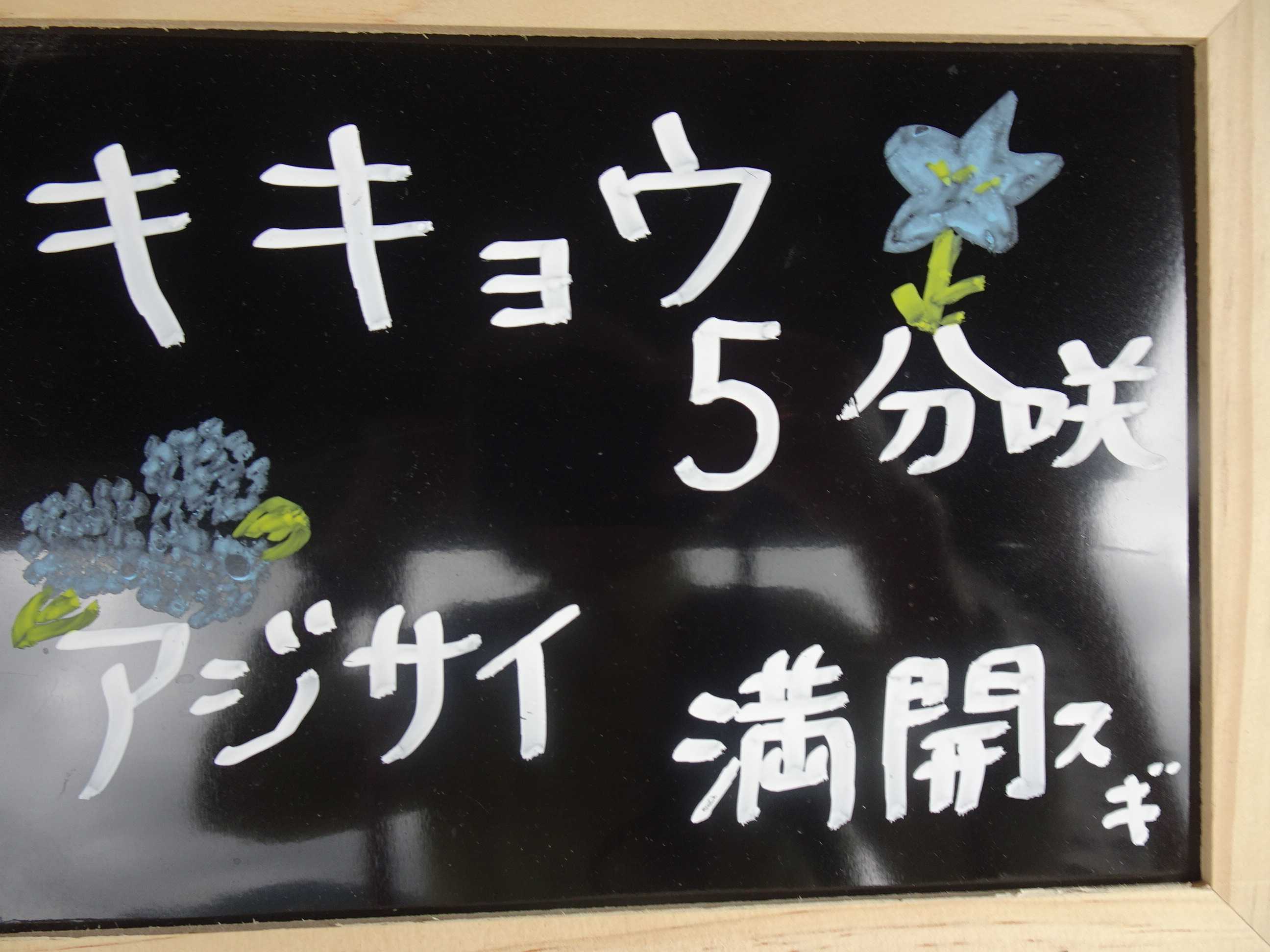 亀岡 に 光秀ゆかりを訪ねて 桔梗の里 15 ゆめ ゆめ sky 楽天ブログ 亀岡 に 光秀ゆかりを訪ねて 桔梗の里 15 ゆめ ゆめ sky 楽天ブログ