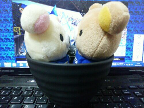 rblog-20161030095519-00.jpg