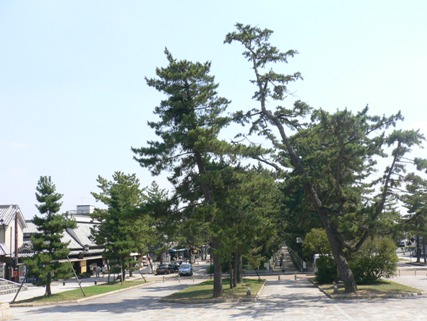 141.JPG