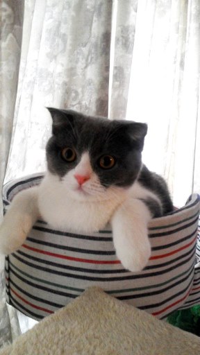 20140926132929.jpg