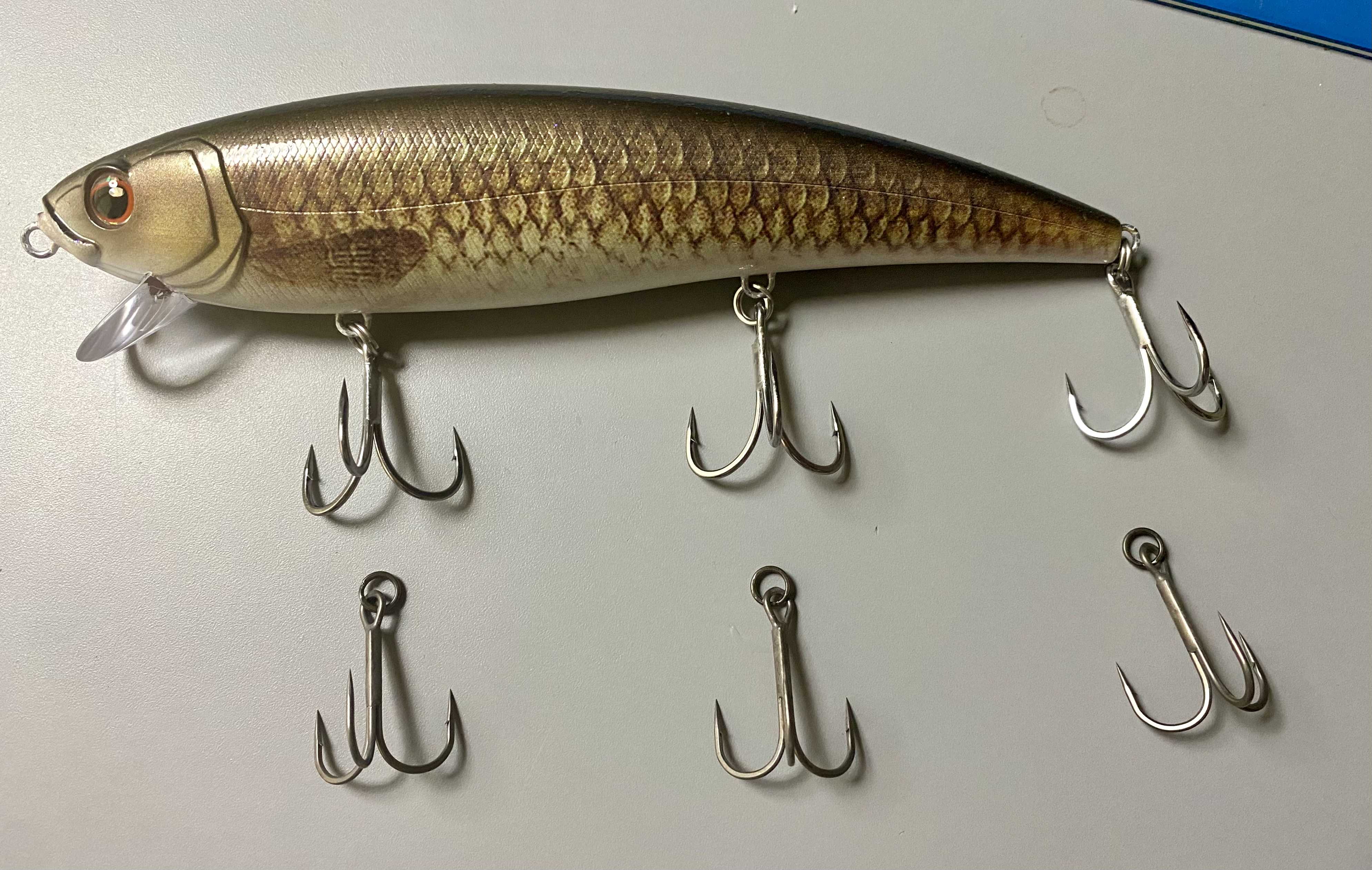 アベンジミノー170はビッグベイトの合間に❣️ | らすたひたすら