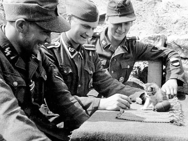 子猫と遊ぶドイツ兵士たち | プラモデルの戦士たち～THE REALISTIC