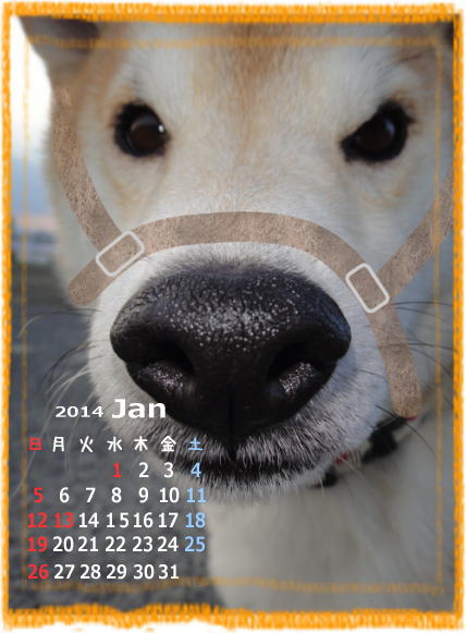 0101朝2.jpg